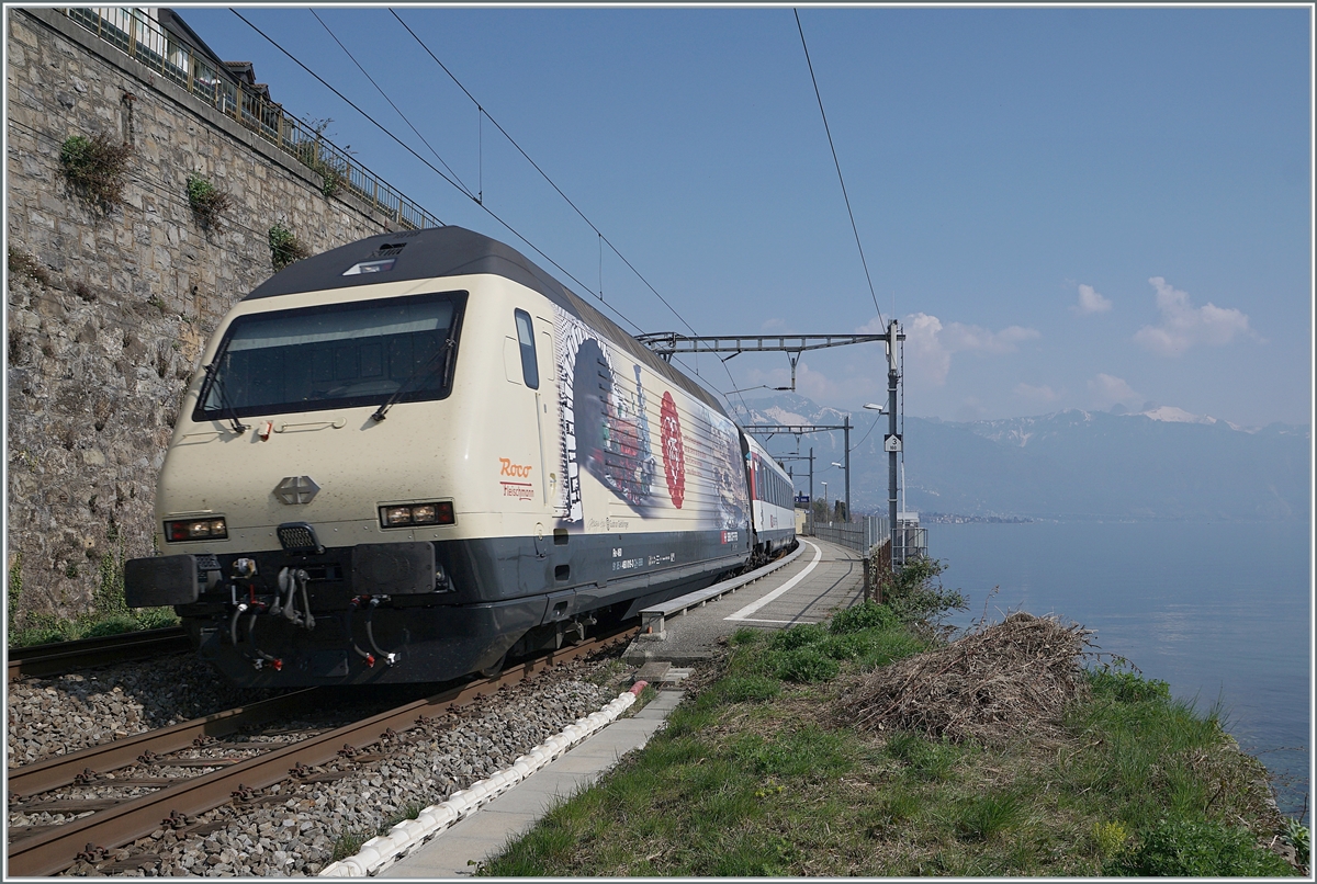 175 Jahre Schweizer Bahnen, und zum Jubiläum wurde neben einer Re 4/4 II auch diese SBB Re 460 019 mit einer Jubiläumsfolie beklebt. Die SBB Re 460 019 mit dem IR 90 1720 bei St-Saphorin. 

25. März 2022