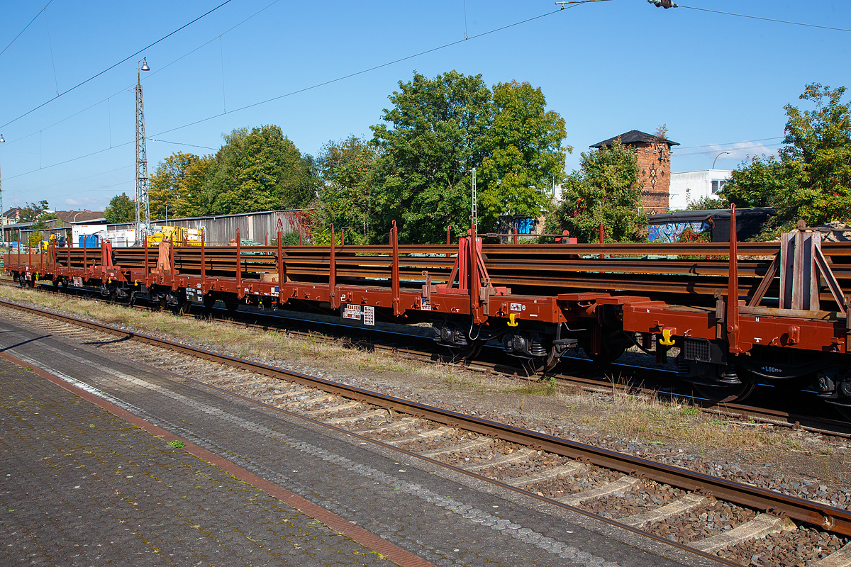 4-achsige Drehgestell-Flachwagen mit Drehrungen und Stirnwandklappen der Gattung Rgs, der Mercitalia Rail S.r.l. (gehört zur Ferrovie dello Stato Italiane), beladen mit Langschienen abgestellt am 08.10.2021im Bahnhof Bonn-Beuel, hier im Vordergrund 31 83 3557 491-5 I-MIR und dahinter am Zugschluss 31 83 3916 807-8 I-MIR. Sehr interessant ist die Tatsache in welcher Präzision und Sauberkeit noch per Hand die ganzen Anschriften an den Wagen angeschrieben worden sind.

Der vordere Wagen wurde 1976 von der FERVET S.p.a. Bergamo in Castelfranco Veneto gebaut, der hintere Wagen wurde 1981 von Cantieri Metallurgigi Italiani in Castellammare di Stabia (bei Neapel) gebaut.

TECHNISCHE DATEN: 
Spurweite: 1.435 mm (Normalspur)
Anzahl der Achsen: 4 (in 2 Drehgestellen)
Länge über Puffer:  19.900 mm
Drehzapfenabstand:  14.860 mm
Achsabstand im Drehgestell:  1.800 mm
Laufraddurchmesser: 920 mm (neu)
Länge der Ladefläche: 18.500 mm 
Fußbodenhöhe der Ladefläche: 1.170 mm
Ladefläche: 52 m²
Eigengewicht:  23.800 bzw. 24.000 kg
Max. Zuladung bei Lastgrenze S: 56,0 t (ab Streckenklasse C)
Max. Geschwindigkeit: 100 km/h (beladen) / 120 km/h leer)
Kleinster bef. Gleisbogenradius:  35 m
Bremse: Freno WU-GP (LL)
Feststellbremse: Ja / Nein
Verwendungsfähigkeit: RIV