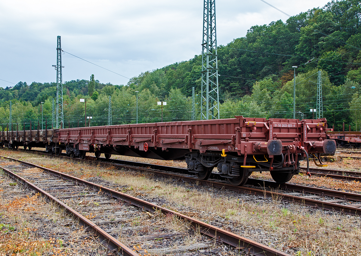 4-achsiger Drehgestell-Flachwagen, mit Seiten- und Stirnwandklappen und mit (Dreh-)Rungen, 31 56 3939 925-4 SK-CWAG, der Gattung Res, der 
slowakischen Vermietungsfirma Cargo Wagon a.s. abgestellt am 09.08.2019 in Betzdorf/Sieg.

Mit einer Ladelnge von 18,50 m dienen diese Wagen zur Befrderung von schweren Walzprofilen und von anderen sperrigen und schweren Gtern sowie Fahrzeugen und Schttgtern. Der Wagen ist mit zwei Stirnwandklappen und mit 18 Seitenwandklappen ausgerstet. Die Klappen sind in Stahlausfhrung hergestellt. Die Stirnwandklappen knnen mit Fahrzeugen bis zu einer Radkraft von 50 kN befahren werden.Vor den umlegbaren Stirnwnden sind je zwei absenkbare Rungen angeordnet. Der Wagen kann mit umgelegten Stirnwnden und abgesenkten Rungen gefahren werden. An jeder Lngsseite hat der Wagen 8 Drehrungen, 8 versenkbaren Gleitrungen und insgesamt 18 absenkbare Verzurreinrichtungen im Fuboden. Mit heruntergeklappten Seitenwnden kann der Wagen nur mit Lademaberschreitung befrdert werden. Der Fuboden besteht aus Kiefernbohlen mit den Abmessungen 48 x 180 mm. Er kann eine Radlast von 5,0 t aufnehmen. Ein Teil der Wagen ist mit einer vom Boden aus bedienbaren Feststellbremse ausgerstet.

TECHNISCHE DATEN:
Spurweite: 1.435 mm (Normalspur)
Gattung/Bauart: Res
Anzahl der Achsen: 4 in 2 Drehgestellen
Lnge ber Puffer: 19.900 mm
Drehzapfenabstand:  14.860 mm
Achsabstand in den Drehgestellen: 1.800 mm
Eigengewicht: 23.700 kg
Ladelnge: 18.500 mm
Ladeflche: 49,3 m
Hhe Fuboden: 1.236 mm
Maximale Ladegewicht: 56,3 t (Streckenklasse C)
Hchstgeschwindigkeit: 100 km/h (beladen) / 120 km/h (leer)
Kleinster befahrbarer Gleisbogenhalbmesser: R 55 m
Feststellbremse: ja
Bauart der Bremse: DK – GP  SZ 12
Intern. Verwendungsfhigkeit:  RIV