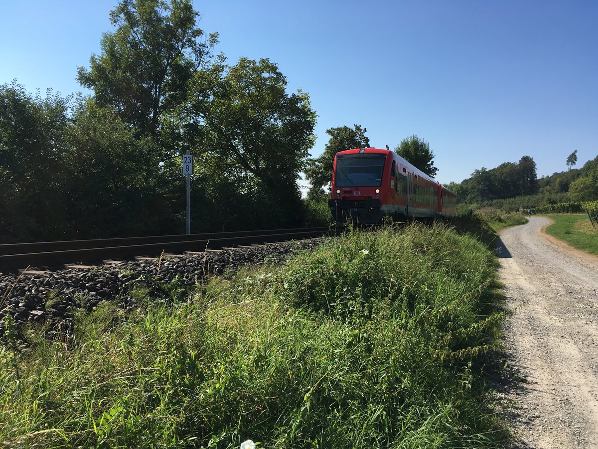 650 107 und ein weiterer 650er als Rb 22767 nach Friedrichshafen Stadt aufgenommen am 31.08.16 bei Kloster Birnau.