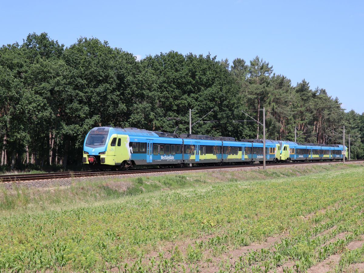 Abellio Westfalenbahn Triebzug ET 404 und ET 411 bei Bahn�bergang Bernte, Emsb�ren 03-06-2022.

Abellio Westfalenbahn treinstel ET 404 en ET 411 bij overweg Bernte, Emsb�ren 03-06-2022.