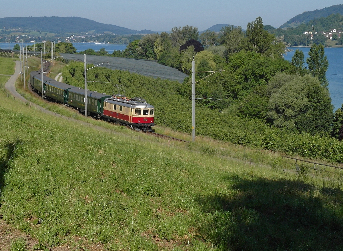 Am 07.06.2014 ist bei Mammern Re 4/4 I 10034 mit einem Sonderzug von Basel über Zürich und Stein am Rhein nach Konstanz unterwegs. Ab Konstanz wird eine V 100 den Sonderzug übernehmen und über Radolfzell, Friedrichshafen, Aulendorf und durchs Allgäu nach Augsburg fahren. Dass das Fahrgestell der Lok nicht vollständig verdeckt ist, ist einem freundlichen Bahnfotografen aus Hessen zu verdanken, der kurz vorher noch Böschungspflegearbeiten durchführte.