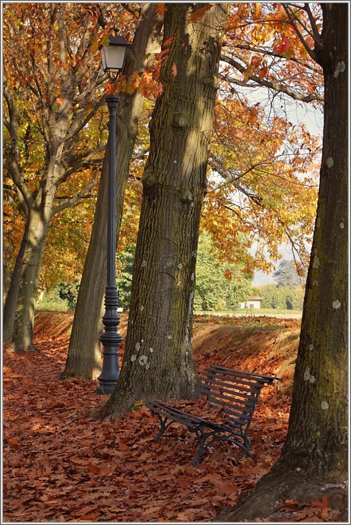 Am 12.November liess sich der Herbst noch einmal gemütlich in Lucca nieder und verweilte noch ein wenig.
(12.11.2015)