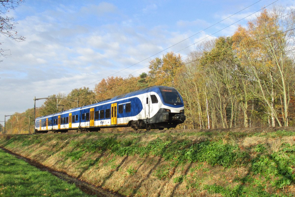 Am 23 November 2018 passiert NS 2225 der Fotograf bei Tilburg Oude warande. 