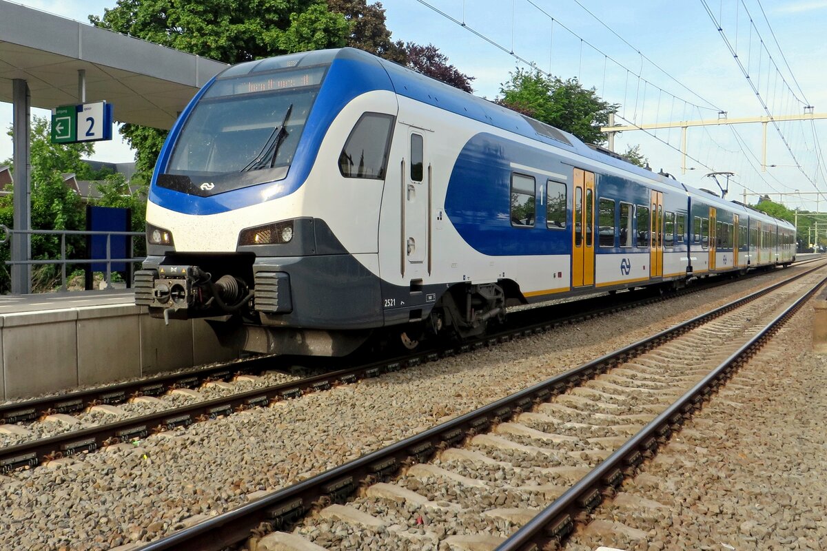 Am 8 Mai 2020 wurde dieser Froschbild von NS 2521 in Oisterwijk gemacht.