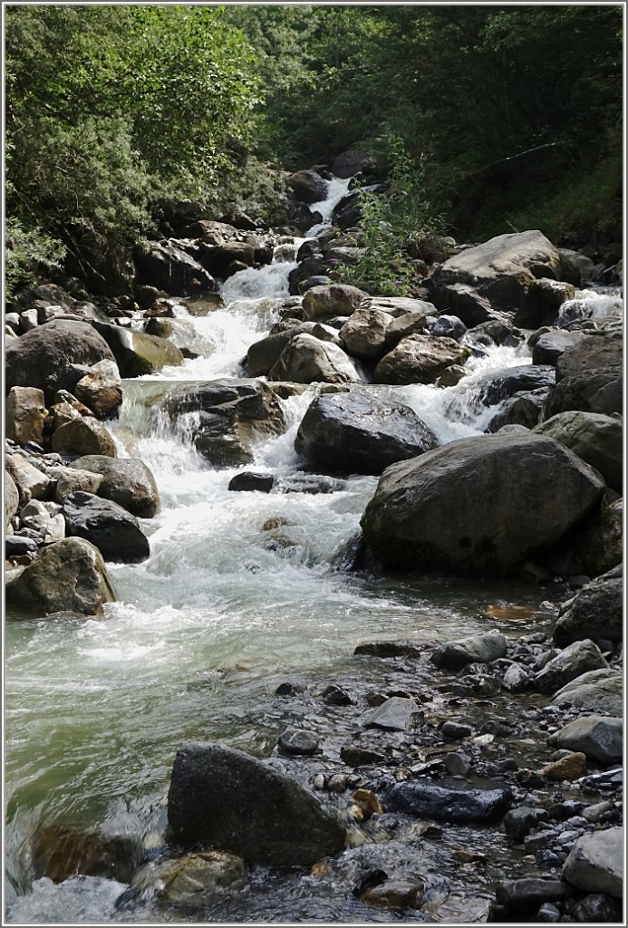 Angenehm kühl kommt das Wasser den Berg hinab
(01.08.2014)