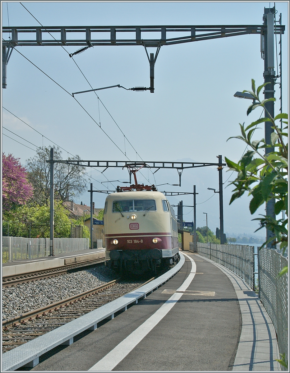 Angenehm  überrascht wurde beim Warten in St-Saphorin der wunderschönen 103 184-8 die mit einem  TEE  Zug in Richtung Lausanne fuhr. Leider war die DB 103 184- nur wenige Jahre mit TEE-Sonderzügen in der Schweiz unterwegs, da die Änderung der Sicherheitsvorrichtungen (Zugbeeinflussung) dann doch finanziellen Möglichkeiten nicht mehr zu rechtfertigne schien.  

26. April 2011