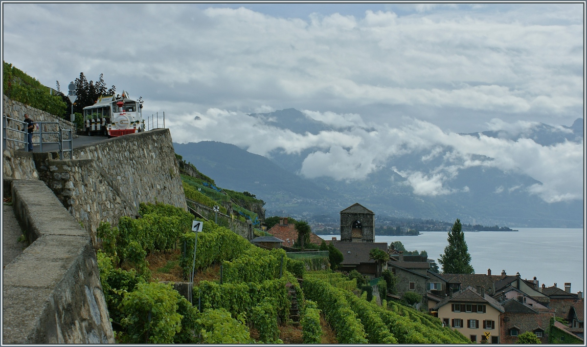Auf seiner Tour durch das Lavaux machte der Petit Train bei St.Saphorin halt und seine Fahrg�ste g�nnten sich einen Aperetif.
(08.09.2013)