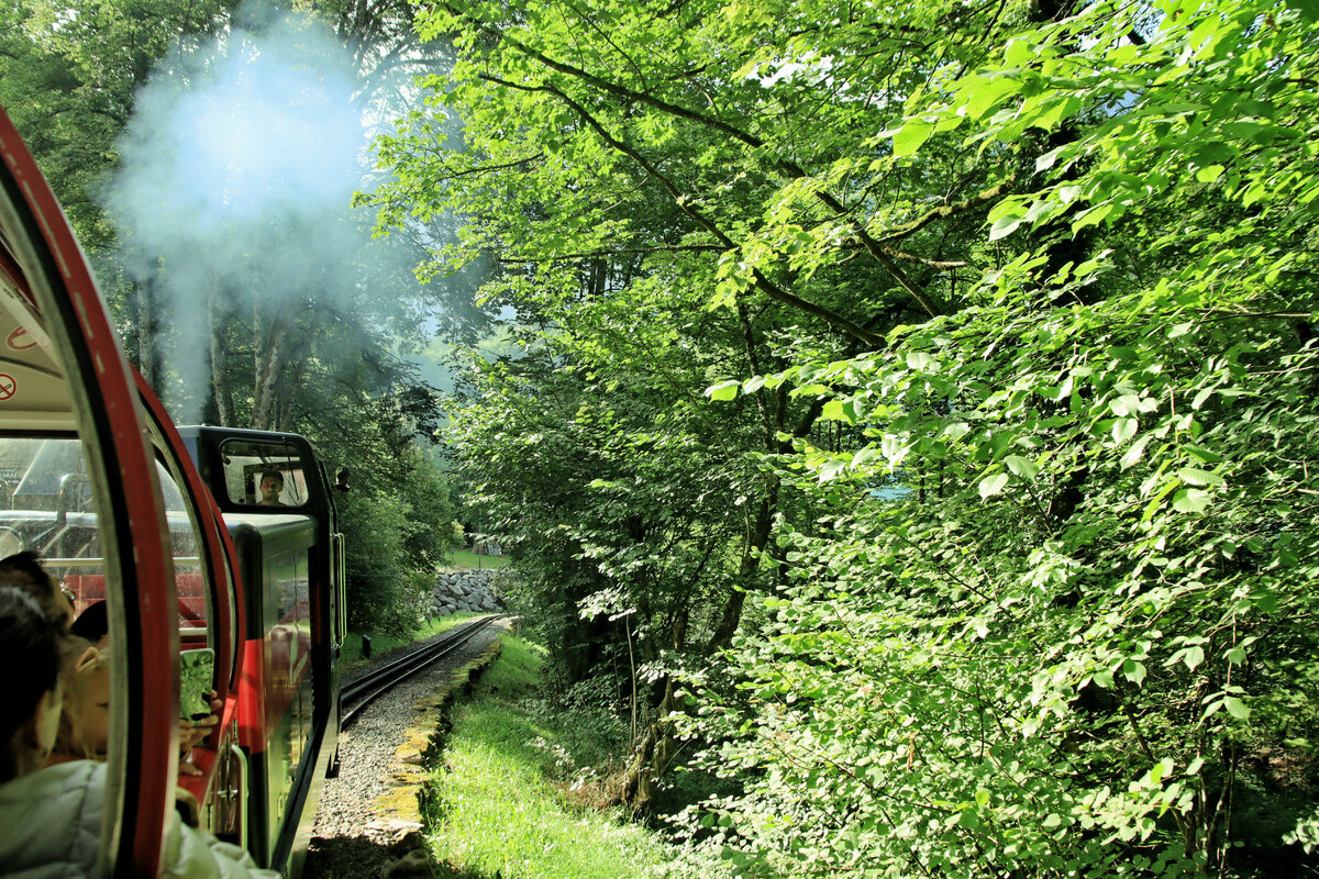 Aus dem Zug, Brienzer Rothorn Bahn im Aufstieg nach Planalp. Lok 11. 3.August 2023