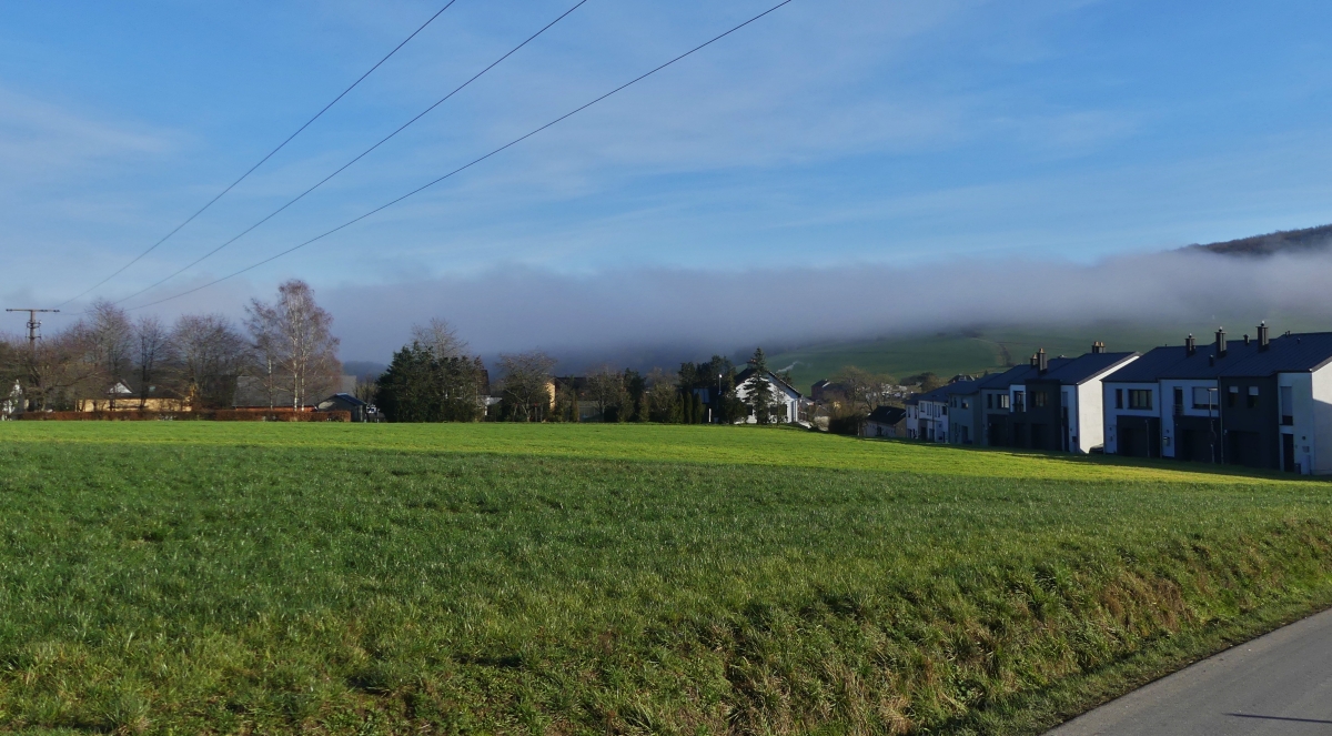 Aus einem andern Blickwinkel eine ¼  Stunde später sieht man die Nebelwand über dem Tal am Waldrand, aufgenommen in der Nähe von Wiltz. 17.12.2023 13.18