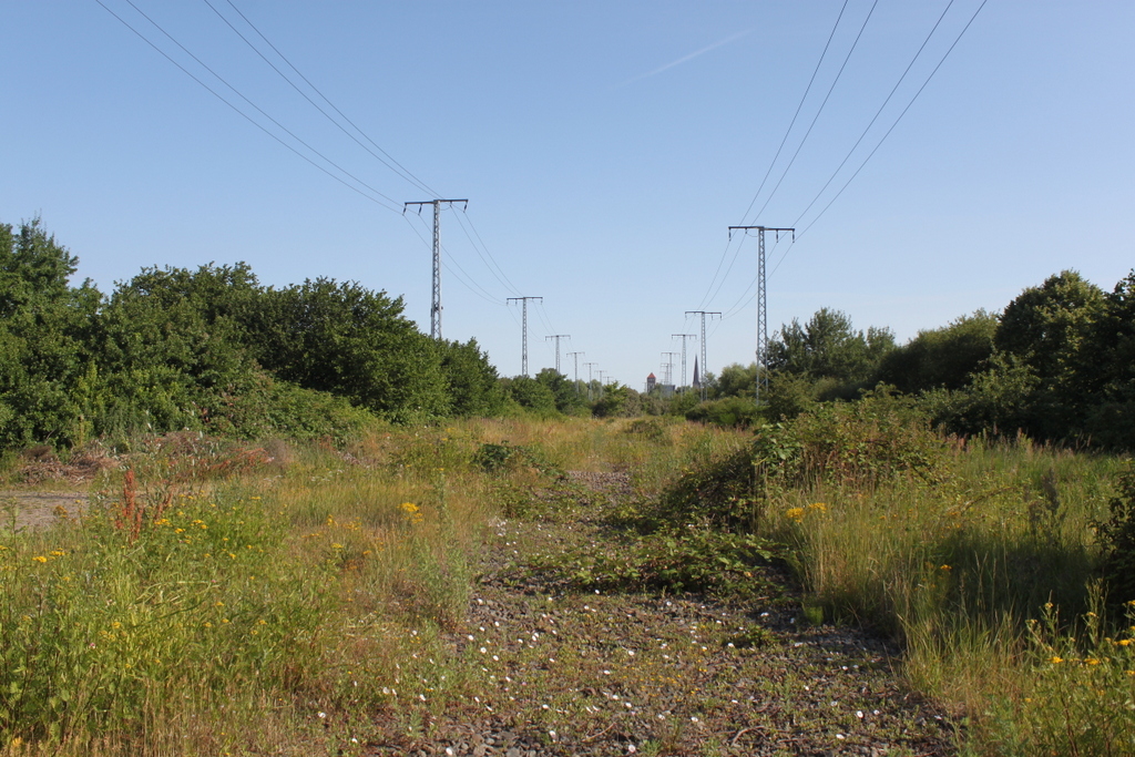 Blick auf die ehemalige Bahnstrecke zum Rostocker Stadthafen.Aufgenommen am 13.07.2019 an der Güterumgehng Höhe Rostock Hbf