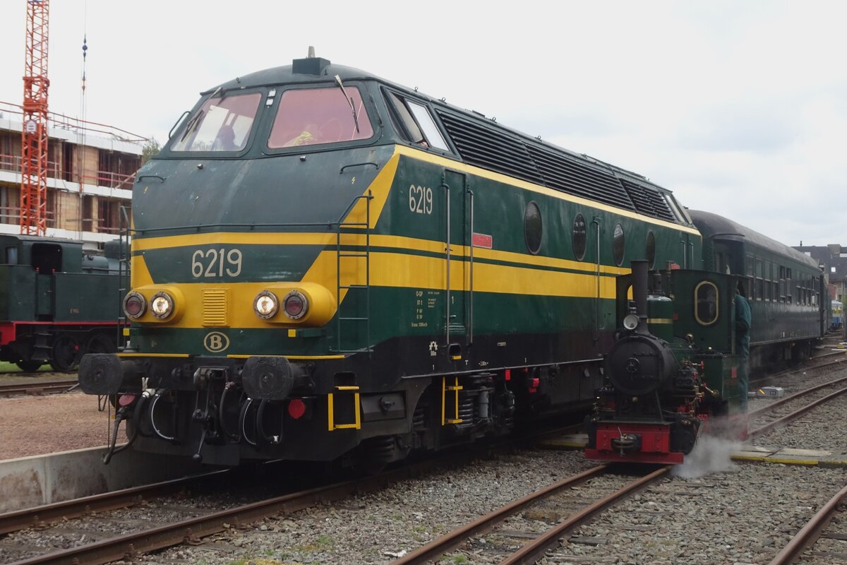 Blöder parallelfahrt mit ex-NMBS (heute Stoomtrein Dendermonde-Puurs) 6219 mit Pendelzug aus Eeklo mit ein Schmalspurdampfloklein in Maldegem am 6 Mai 2023 -inzwischen hat Ihren Fotograf den Charme entdeckt..