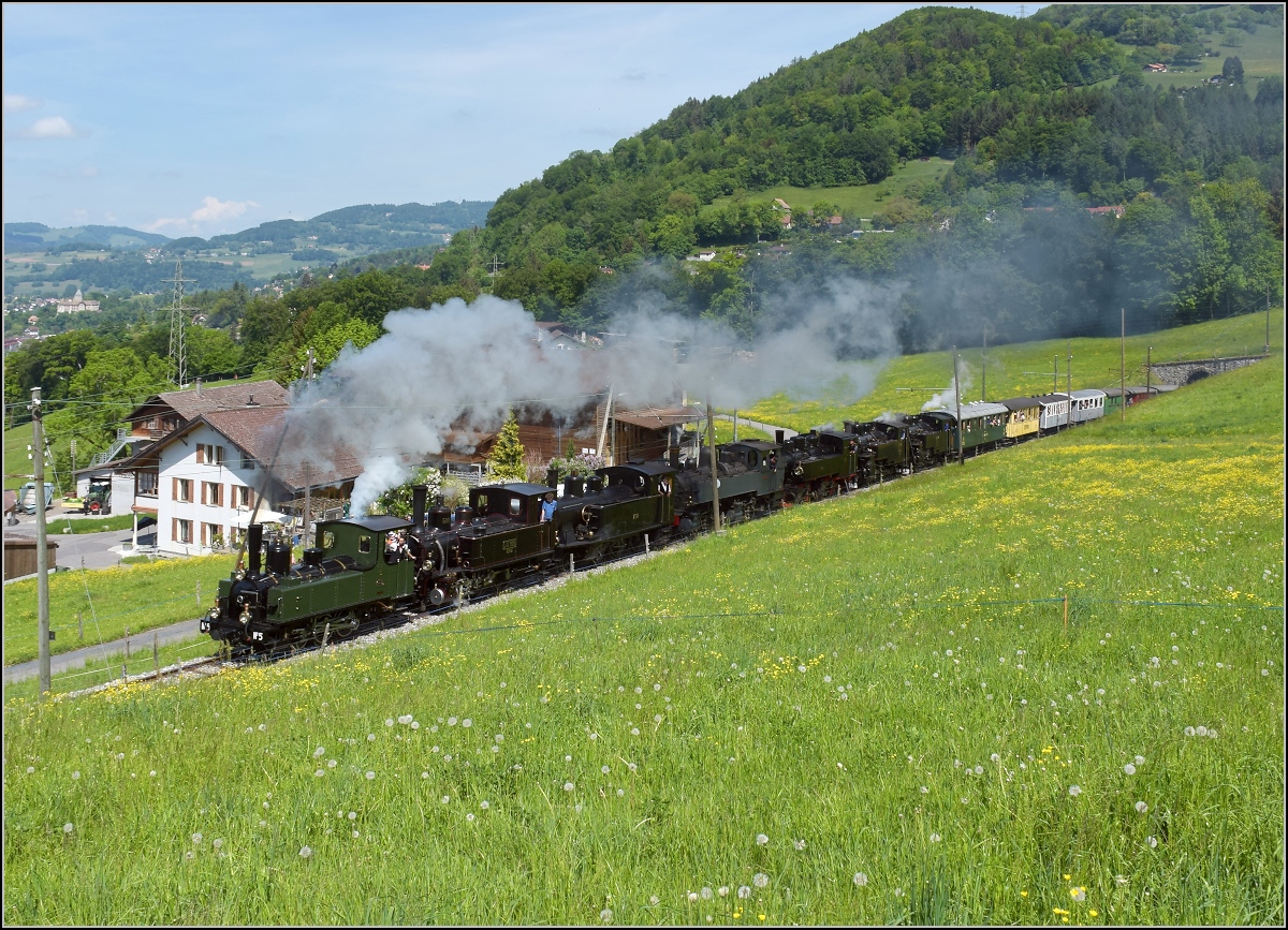 Blonay-Chamby Mega Steam Festival zum 50. Jubiläum der Museumsbahn. Septuple Traction oder auf deutsch 7-fach Traktion und für die Fachleute 6-fach-Vorspann, wann gibt es schon mal so etwas zu sehen. Zischen, Dampfen, Pfeifen, Klackern und rumpeln zu Siebt, wann gibt es so etwas schon mal zu sehen. Blonay, Mai 2018.

1. Lok: G 3/3 5, 1890 LEB
2. Lok: G 3/3 909 / 6, 1901 JS / BAM
3. Lok: G 3/4 208, 1913 CFF
4. Lok: G 2x 2/2 E164, 1905 CP
5. Lok: G 2x 2/2 105, 1918 SEG
6. Lok: HG 3/4 4, 1913 FO
7. Lok: HG 3/4 3, 1913 BFD