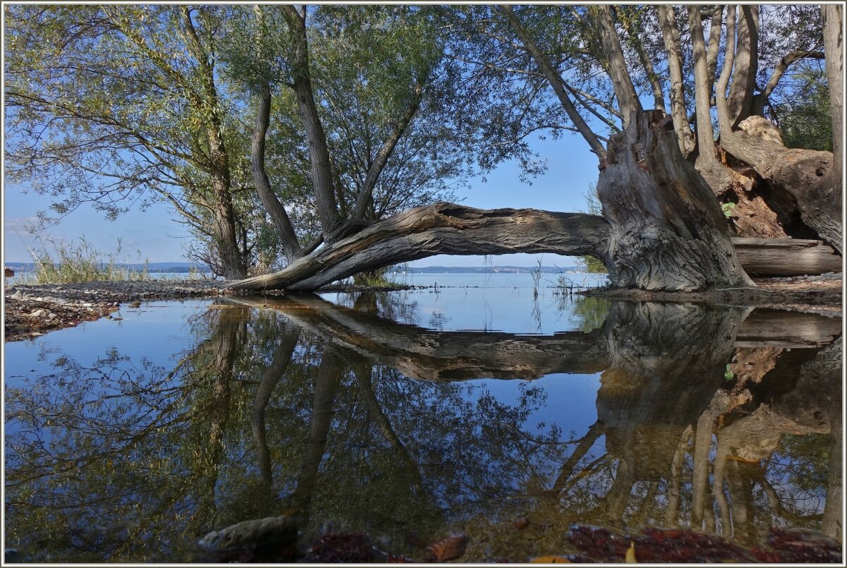 Bodenseestimmung einmal anders gesehen. 
(17.09.2021)