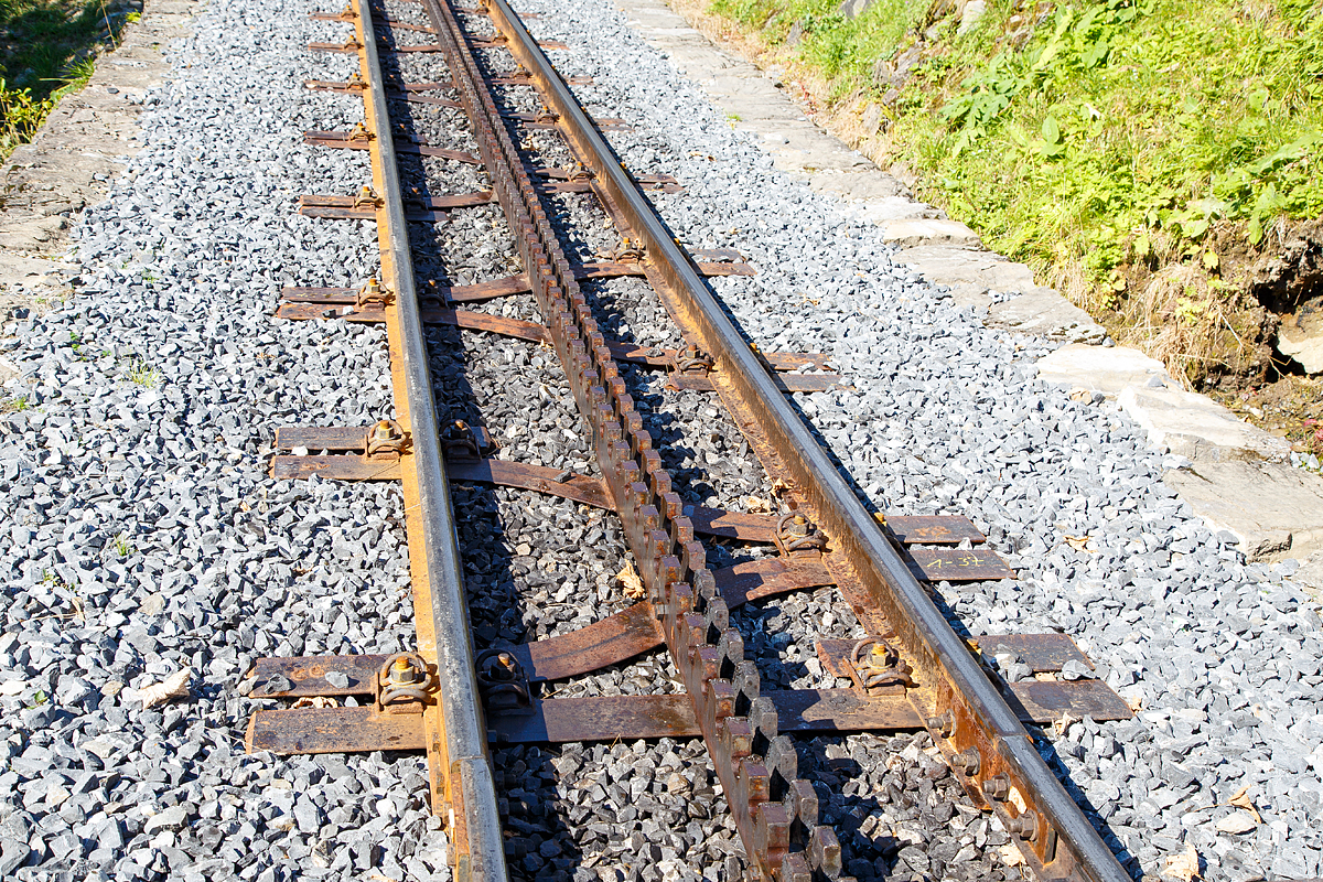 
Brienz Rothornbahn: Neues Gleis mit dem Schienentyp S 49, Y-Schwelle, Schienenhalter mit Vossloh-Klemme und in der Mitte doppelte Zahnstangen vom System Abt , direkt oberhalb der Mittelstation Planalp, hier am 24.09.2016. Die Spurweite vom Gleis beträgt 800 mm, die Zahnteilung der Zahnstange beträgt 120 mm.   