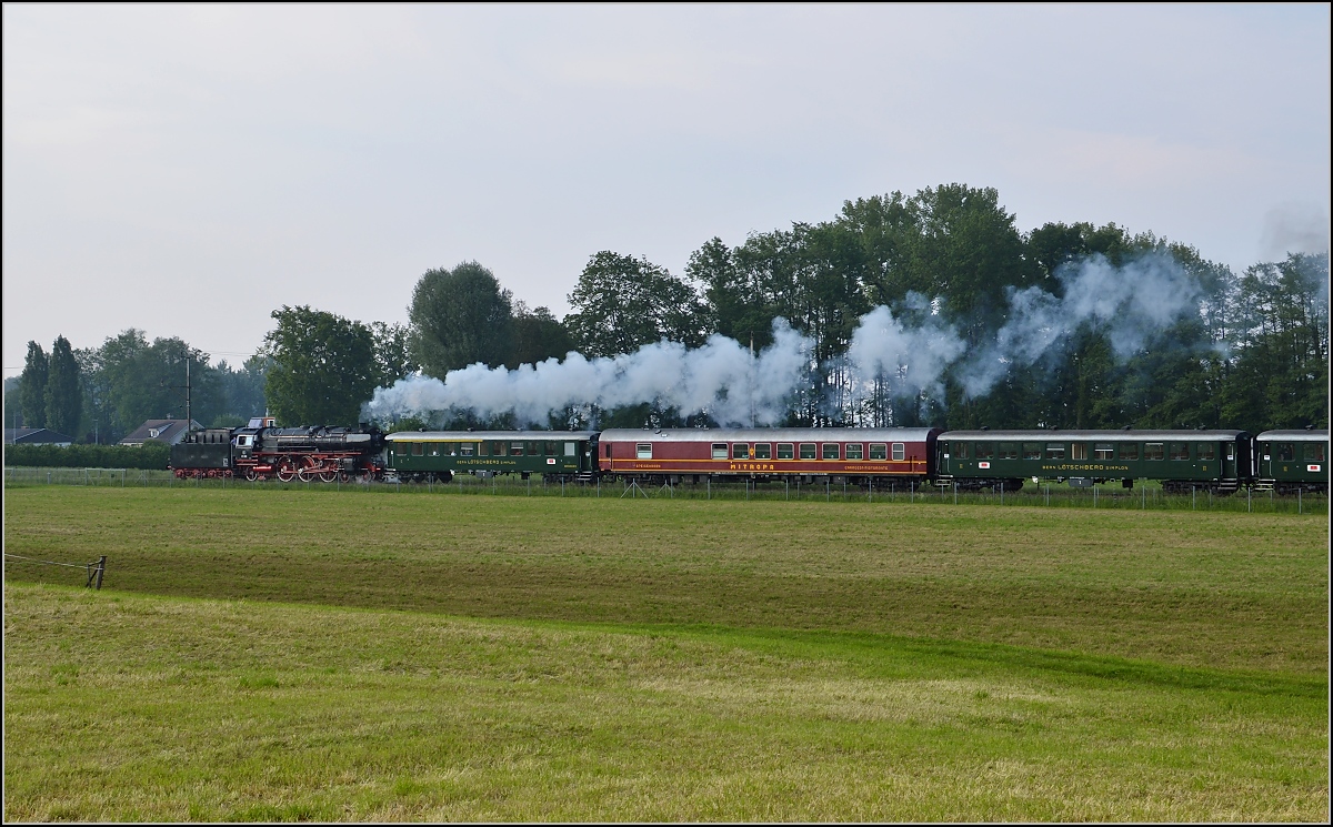 Dampf am Bodensee. 01 202 ist bei Egnach gerade in die Fotowolke gefahren. Mai 2015.