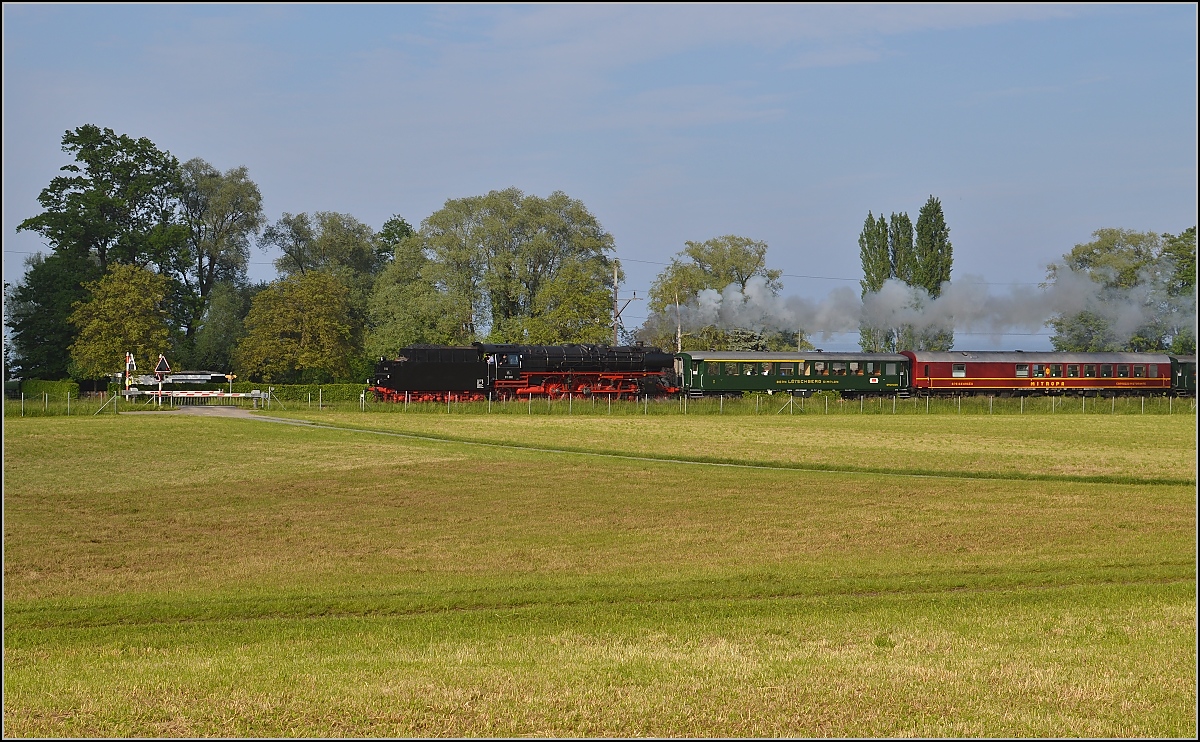Dampf am Bodensee. 01 202 vor Egnach, w�hrend sich im Hintergrund der Bodensee fast unsichtbar macht. Mai 2015.