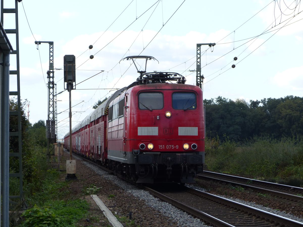 DB Cargo Lok 151 075-9 bei Bahn�bergang Devesstra�e, Salzbergen 13-09-2018.

DB Cargo loc 151 075-9 bij de overweg Devesstra�e, Salzbergen 13-09-2018.