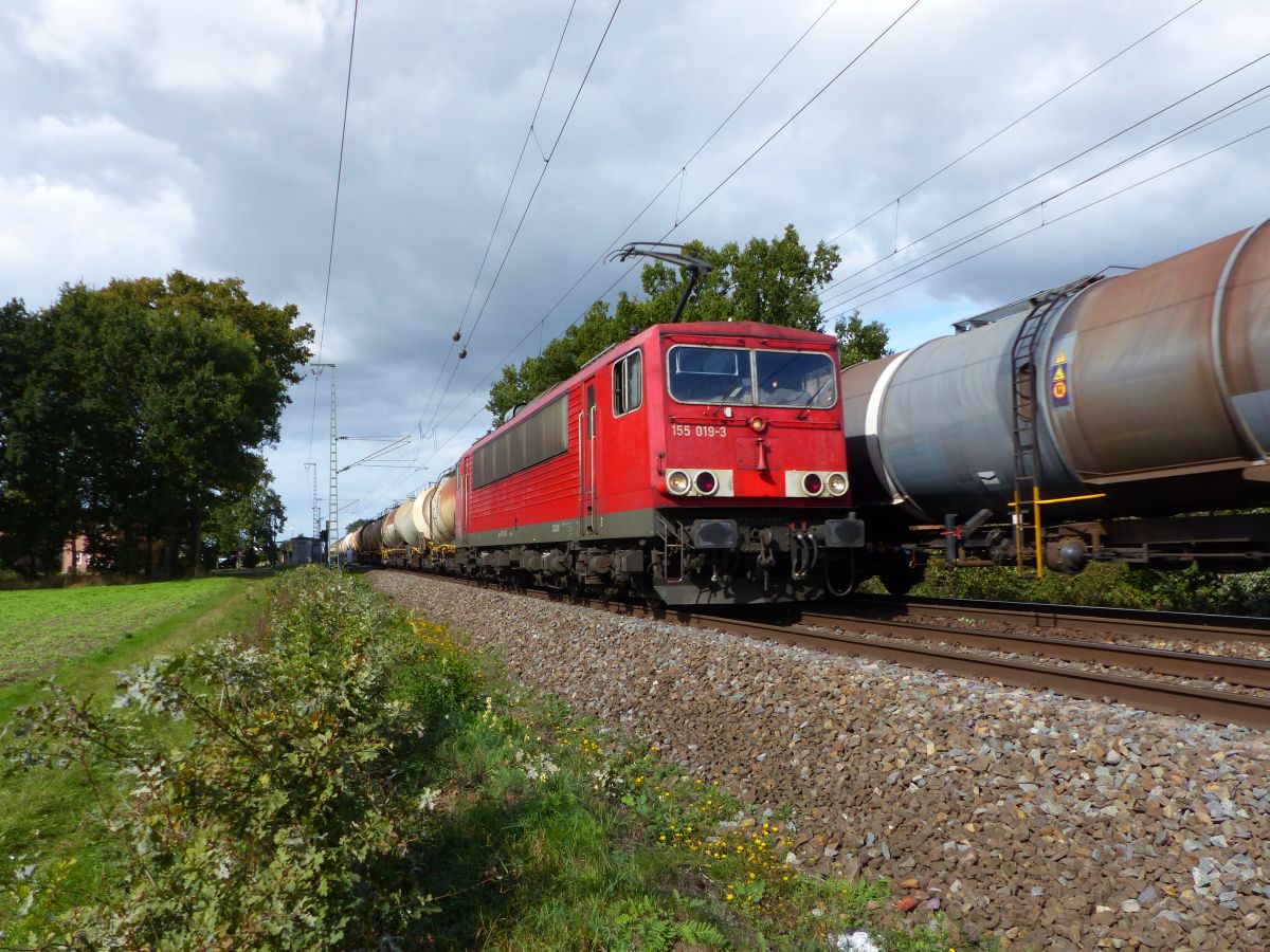 DB Cargo Lok 155 019-3 bei Bahn�bergang Devesstra�e, Salzbergen 28-09-2018.

DB Cargo loc 155 019-3 bij overweg Devesstra�e, Salzbergen 28-09-2018.