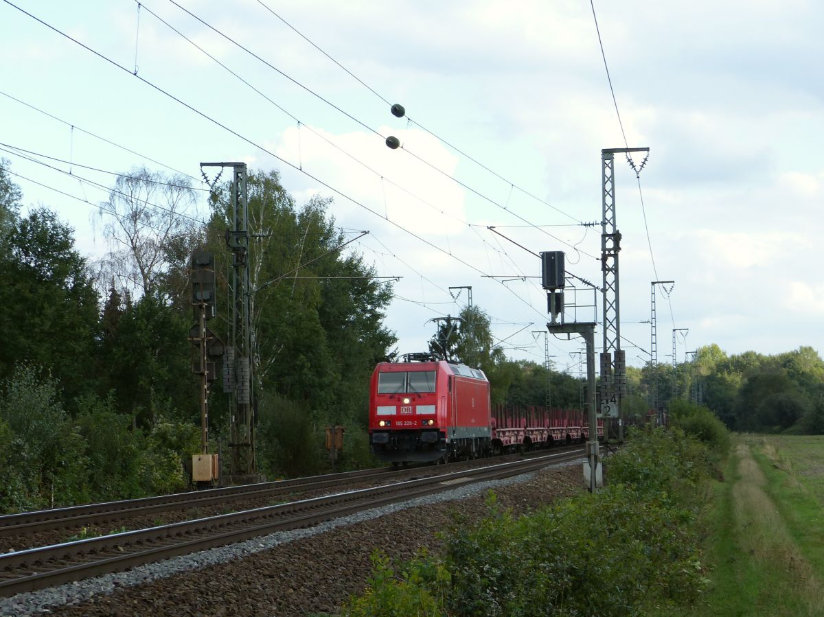DB Cargo Lok 185 229-2 Devesstra�e, Salzbergen 13-09-2018.

DB Cargo loc 185 229-2 Devesstra�e, Salzbergen 13-09-2018.