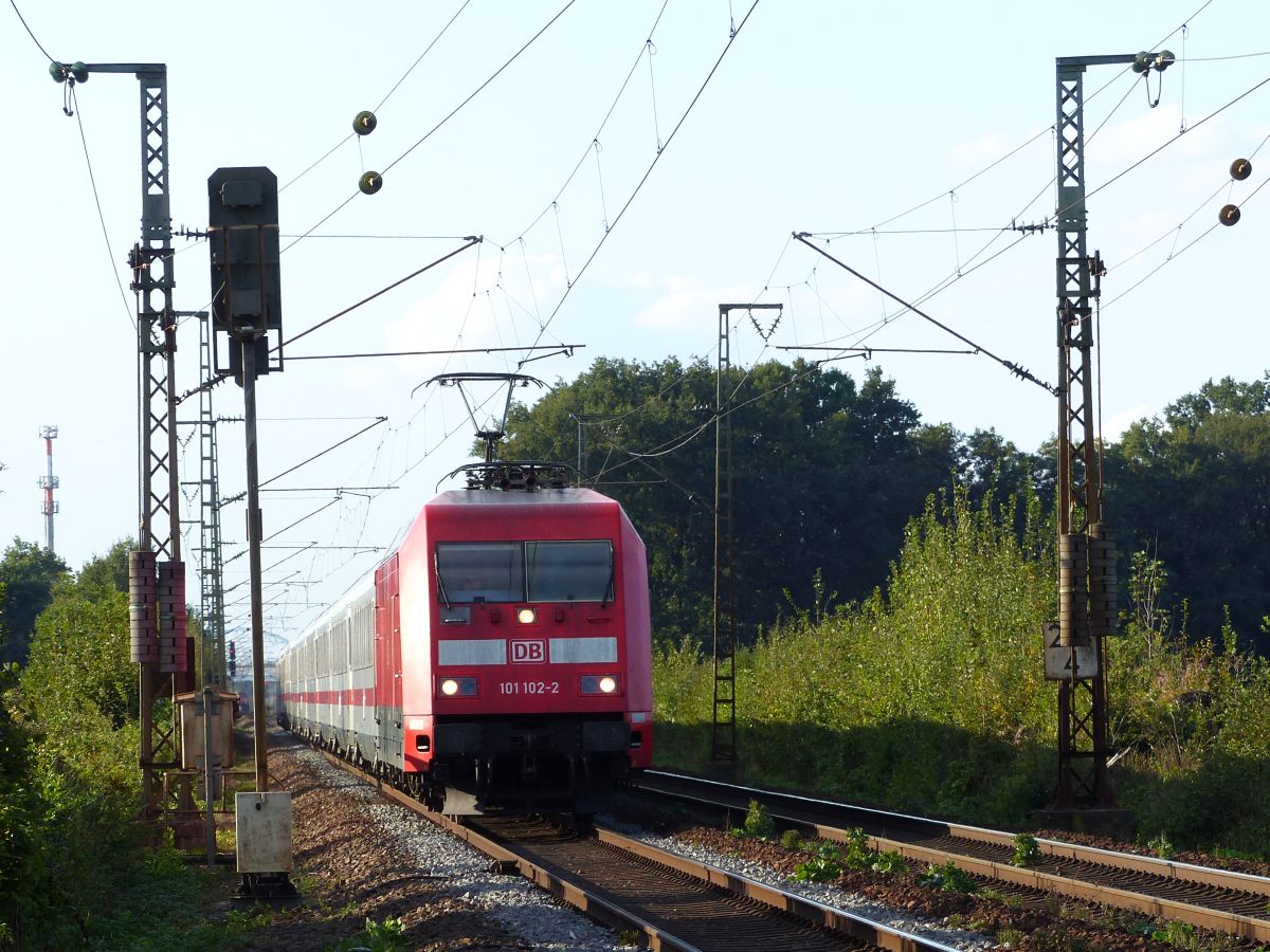 DB Lok 101 102-2 bei Bahn�bergang Devesstra�e, Salzbergen 28-09-2018.

DB loc 101 102-2 beij overweg Devesstra�e, Salzbergen 28-09-2018.