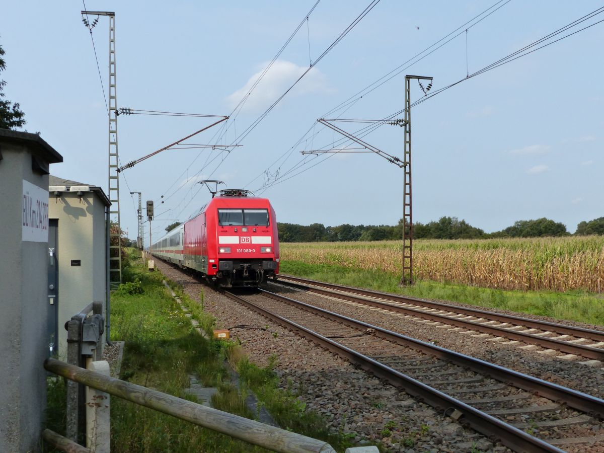 DB Lokomotive 101 080- 0 bei Bahn�bergang Devesstra�e, Salzbergen 11-09-2020.

DB locomotief 101 080- 0 bij overweg Devesstra�e, Salzbergen 11-09-2020.

