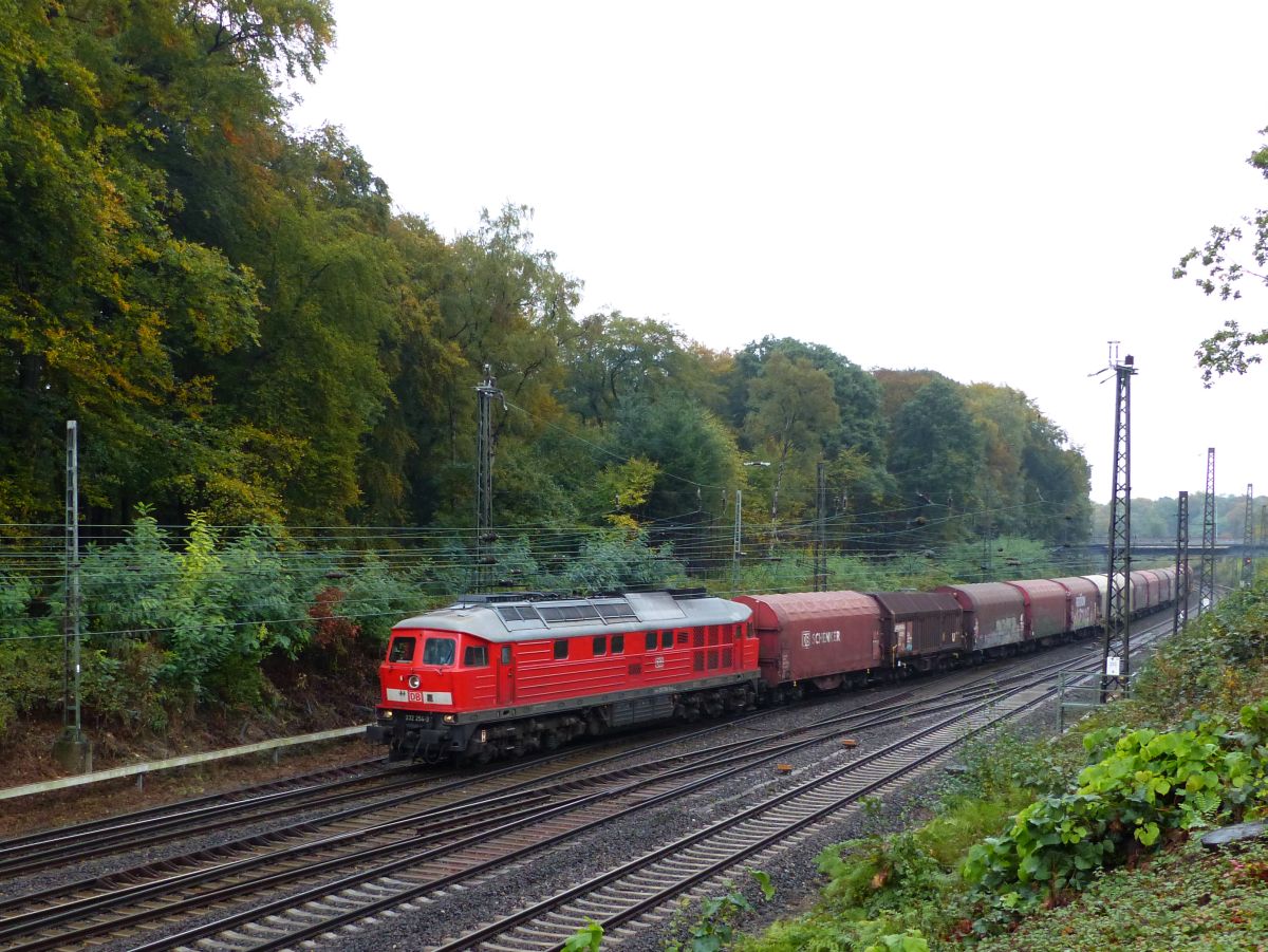 DB Schenker Diesellok 232 254-3 Abzweig Lotharstrasse, Forsthausweg, Duisburg 20-10-2016.

DB Schenker dieselloc 232 254-3 Abzweig Lotharstrasse, Forsthausweg, Duisburg 20-10-2016.
