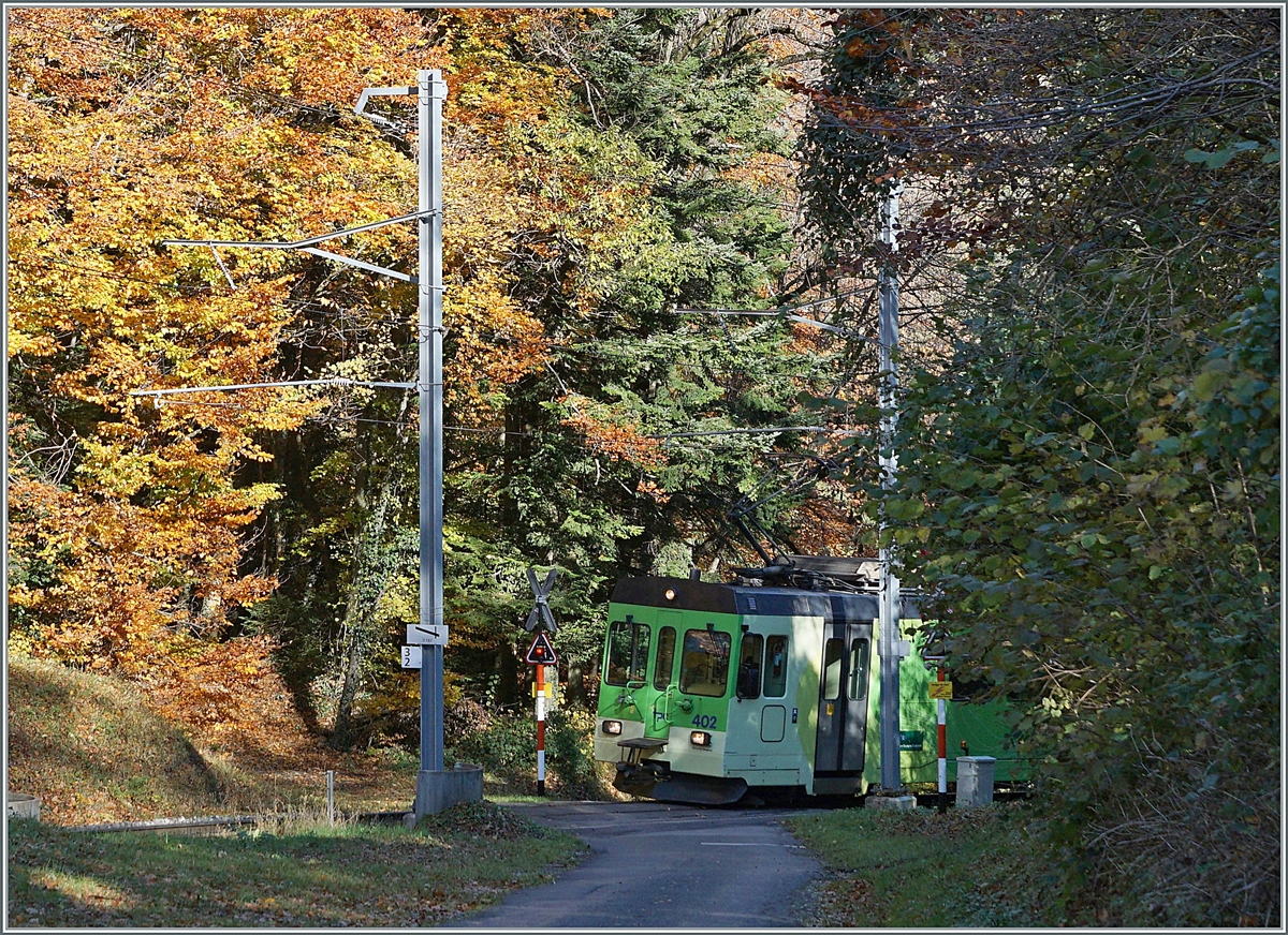 Der ASD BDe 4/4 4/4 402 der auf die Fahrt von Aigle nach Plambuit im bunten Herbstwald bei Verschiez. 

5. November 2021