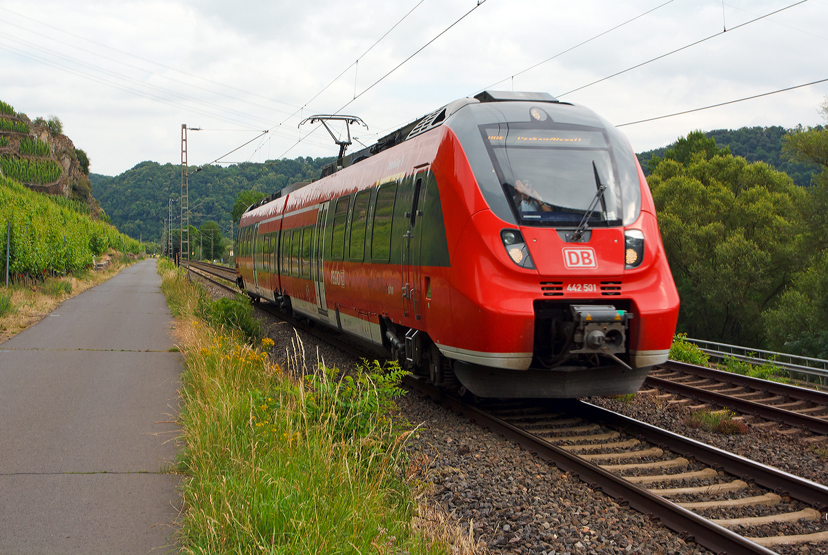 
Der  Baby-Hamster   442 501 / 442 001 (94 80 0442 501-3 D-DB / 94 80 0442 001-4 D-DB) ein kleiner zweiteiliger Bombardier Talent 2 der DB Regio mit dem Taufnamen  Oberbillig  fährt am 20.06.2014, als RB 81  Moseltal-Bahn  (Koblenz – Cochem – Wittlich – Trier),  Winningen (Mosel) in Richtung Trier. 

Der Triebzug wurde 2009 unter den Fabriknummern HEN 25297 und HEN 25296 bei Bombardier Transportation GmbH in Hennigsdorf gebaut, die Abnahme erfolgte jedoch erst am 16.01.2013. 

Dem freundlichen Lokführer einen lieben Gruß zurück.