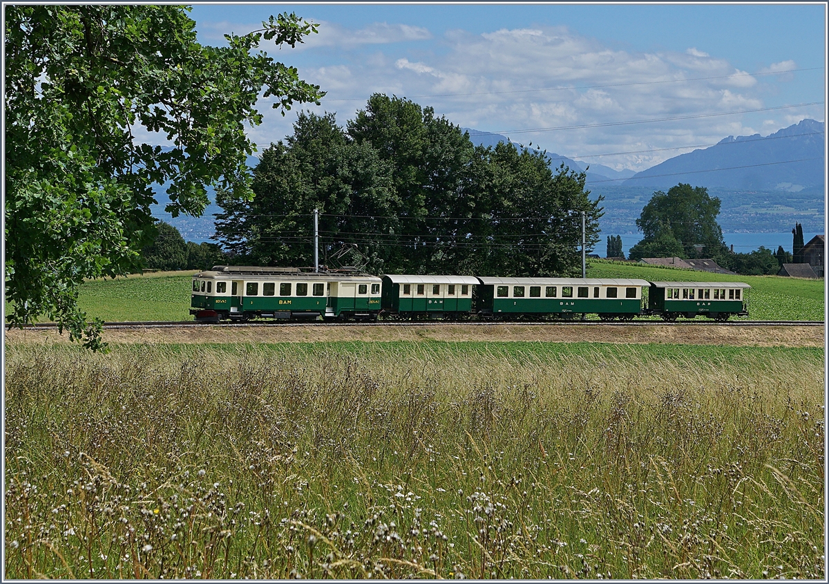 Der BAM BCFe 4/4 N 2 auf der Fahrt von Morges nach Apples kurz vor Vufflens le Chteau.
7. Juni 2017