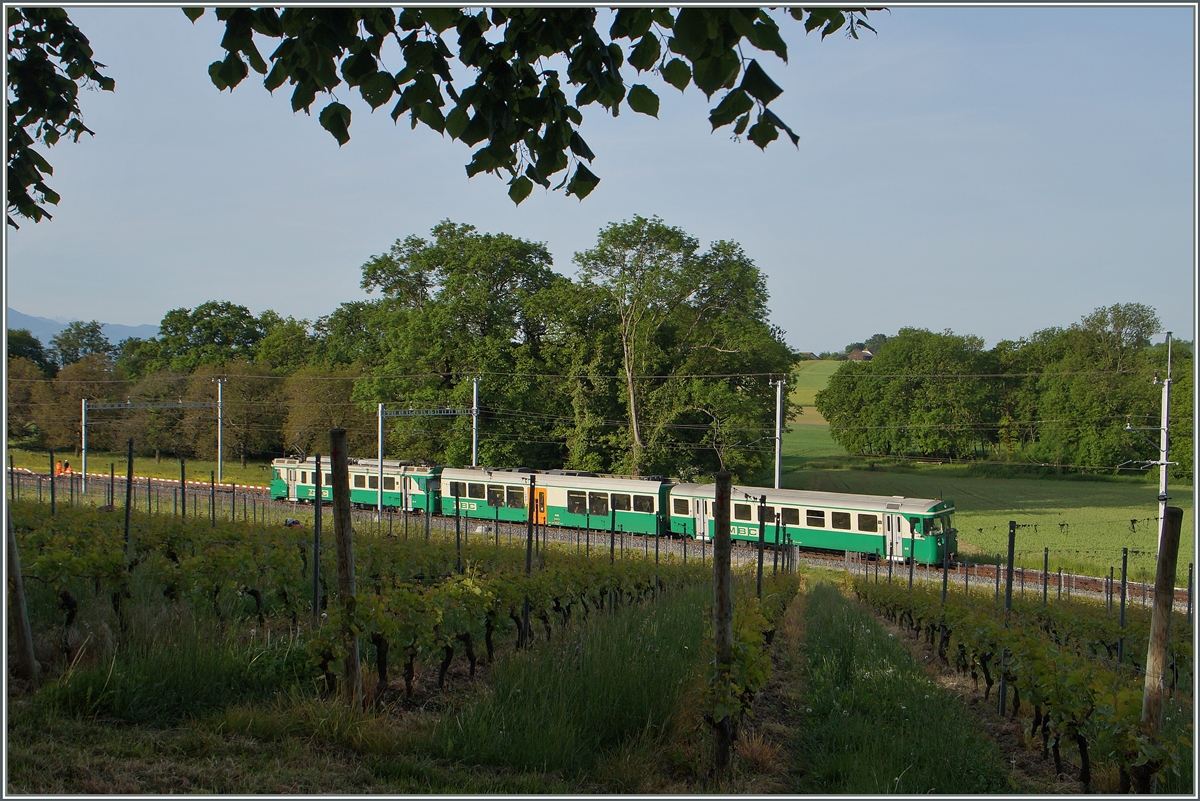 Der BAM Regionalzug 108 auf der Fahrt nach Bire zwischen Chigny und Vufflens-le-Chteau. 12.Mai 2015