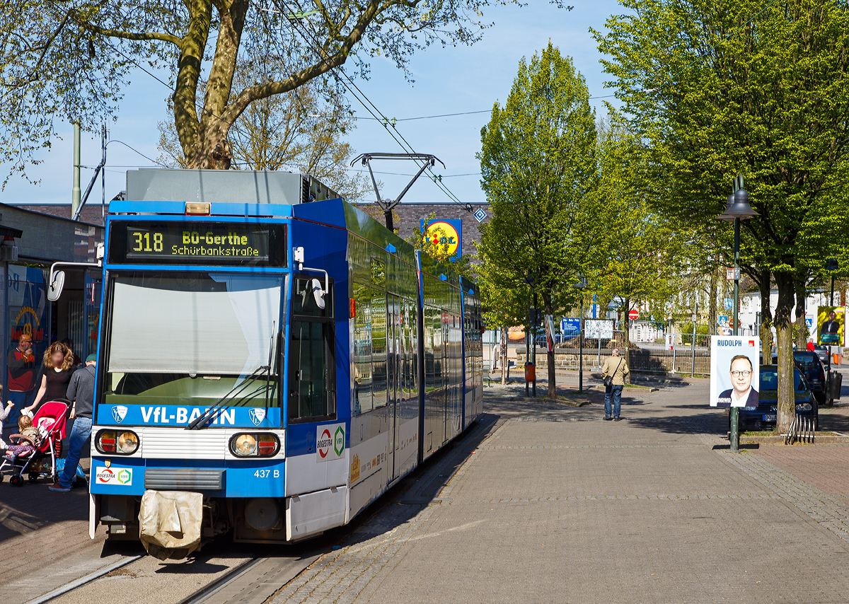 
Der BOGESTRA NF6D TW 437, ein DUEWAG MGT6D Niederflur-Gelenktriebwagen, steht am 30.04.2017 an der Station Bahnhof Bochum-Dahlhausen, als Linie 318 nach BO-Gerthe Schürbankstraße, zur Abfahrt bereit.

Die bei der Bogestra (Bochum-Gelsenkirchener Straßenbahnen AG) ab 1992 eingesetzten Wagen vom Typ NF6D waren tatsächlich erst im Sommer 2006 voll verfügbar, zeigten aber schon bald durch Rissbildung in den Wagenkästen an Fenster- und Türecken sowie im Sommer 2014 durch den Bruch einer Achsbrücke neue Schwachstellen. Der Fund eines weiteren Fahrwerks mit Anrissen in den gegossenen Achsbrücken der Einzelradfahrwerke im Januar 2015 führte zur Entscheidung der technischen Aufsichtsbehörde, diesen Wagentyp nur noch mit einer maximalen Geschwindigkeit von 30km/h weiter zu betreiben. Die gegossenen Einzelradfahrwerke werden seit 2015 schrittweise durch geschmiedete Fahrwerke ersetzt, wie sie auch bei späteren Baulosen eingesetzt wurden. Nach dem Ersatz der Achsbrücken bleibt die Höchstgeschwindigkeit auf 50km/h beschränkt. Ab 2016 sollen die NF6D dann vorzeitig durch Neuanschaffungen ersetzt werden. Ursprünglich waren 35 Jahre Einsatzdauer anstelle der nun erreichten 23 Jahre vorgesehen.

TECHNISCHE DATEN (NF6D bzw.  DUEWAG MGT6D):
Spurweite: 1.000 mm
Achsfolge: Bo'+1'1'+Bo'
Länge: 28.620 mm 
Wagenkastenbreite : 2.300 mm
Sitzplätze: 72
Stehplätze: 100 (4 Pers/m²)
Netzspannung: 	600 V DC Oberleitung
Leistung: 4x 105 kW
Höchstgeschwindigkeit: 70 km/h, 30 bzw. 50 km/h herabgesetzt
Fußbodenhöhe: 350 / 500 mm
Eigengewicht: 32.000 kg
