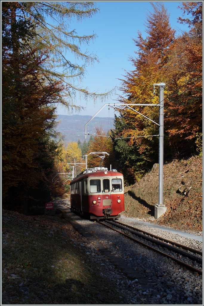 Der CEV BDeh 2/4 73 als Regionalzug 1379 im herbstlichen  Bois de Chexbres  oberhalb von Blonay. 
27. Okt. 2015