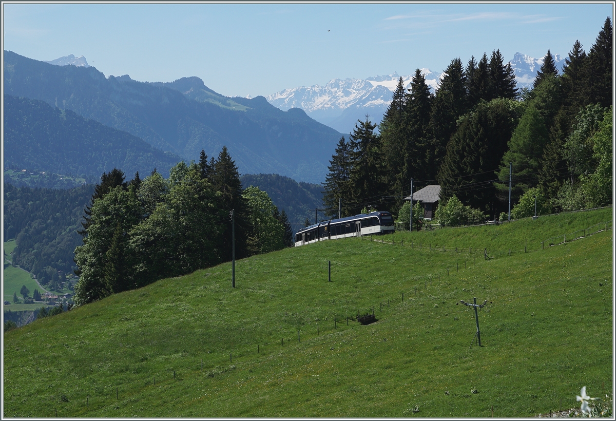 Der MVR SURF GTW ABeh 2/6 7502  Blonay  erreicht in Kürze die Gipfelstation Les Pléiades. 10. Juni 2016