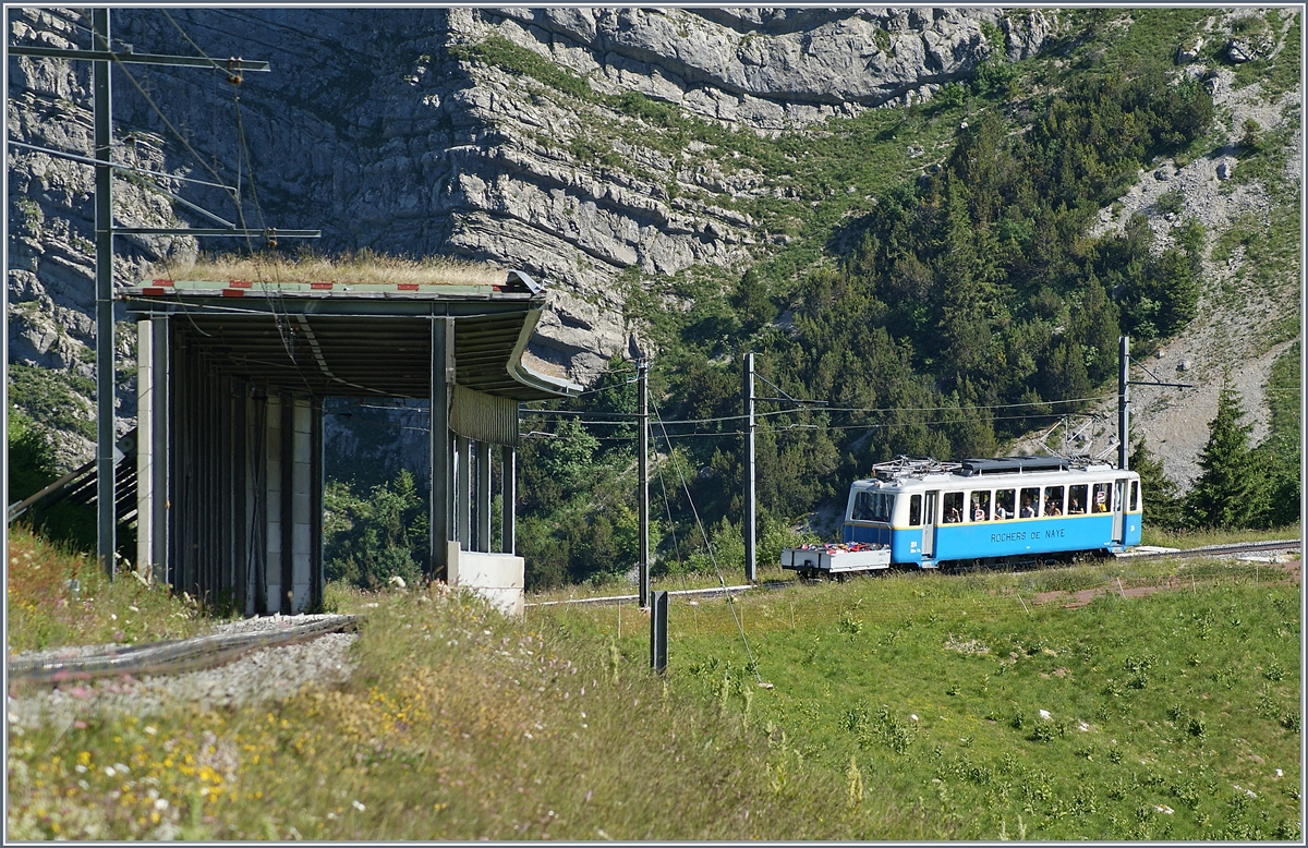 Der Rochers de Naye Bhe 2/4 204 zwischen Jaman und dem Rochers de Naye. 
1. Juli 2018