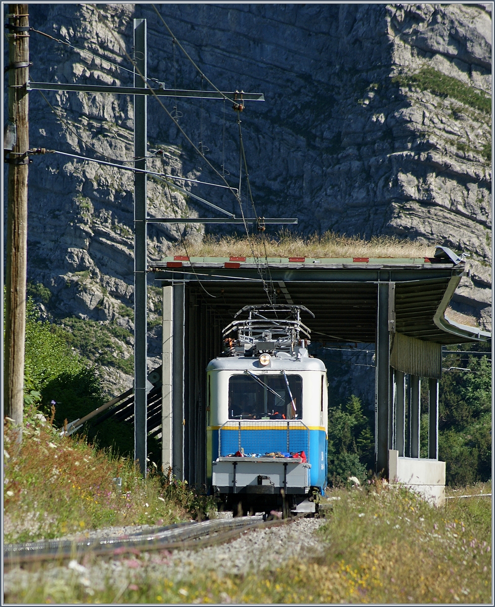 Der Rochers de Naye Bhe 2/4 204 zwischen Jaman und dem Rochers de Naye.
1. Juli 2018