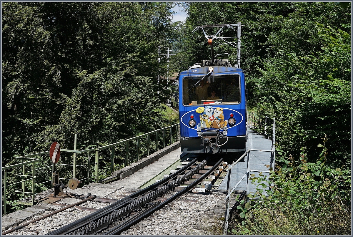 Der Rochers de Naye Bhe 4/8 302 und 304 auf der Fahrt nach Montreux ei der Ankunft in Le Tremblex.
7. August 2016