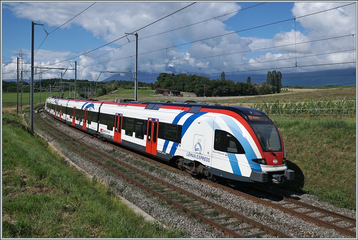 Der SBB LEX RABe 522 215 als SL5 auf dem Weg nach Genève zwischen Russin und Satigny.

2. August 2021