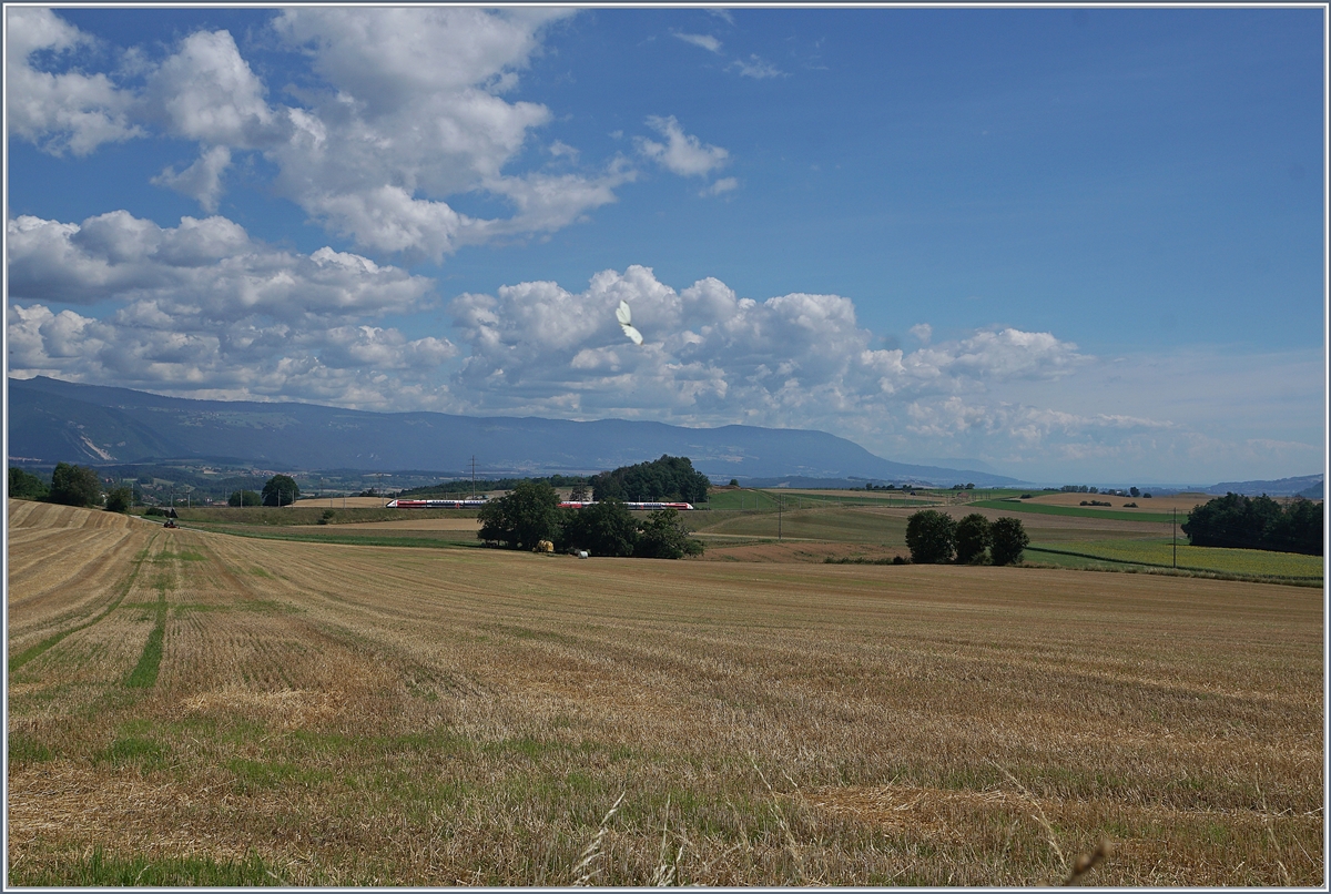 Der TGV Lyria 9261 von Paris Gare de Lyon nach Lausanne oberhalb von Arnex auf der Fahrt durch die hügligen Jurasüdfuss Landschaft. 

25. Juli 2020