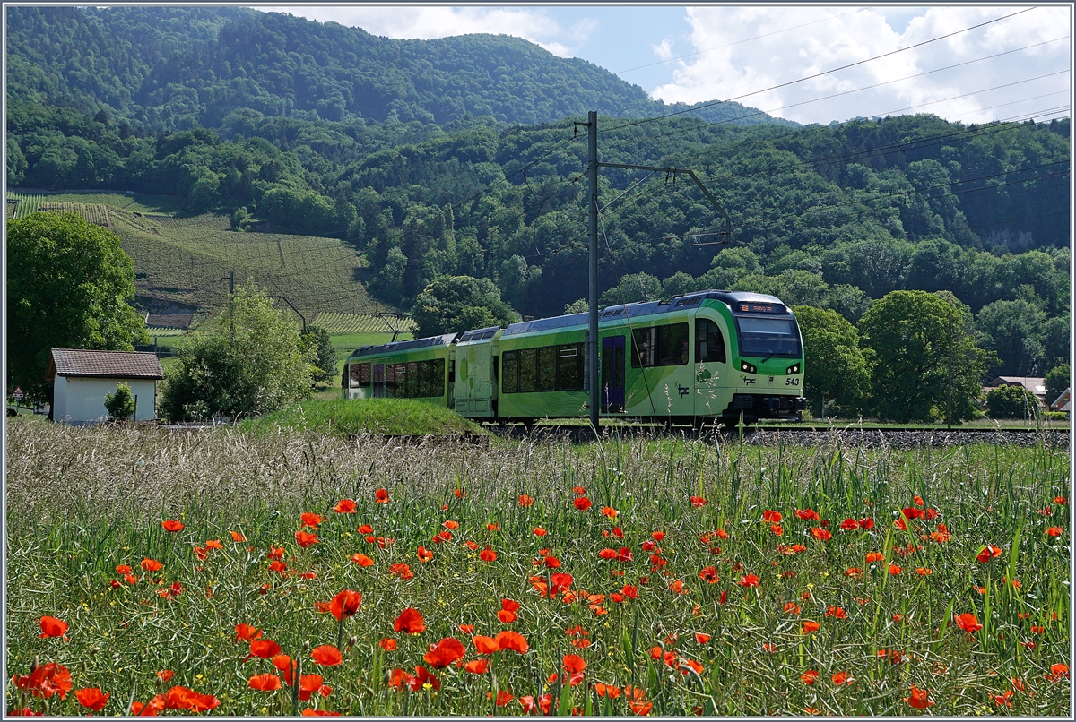 Der TPC Bhe 2/6 543 auf seiner Fahrt Richtung Monthey Ville bei Villy.
24. Mai 2018