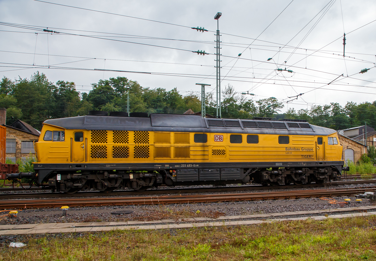 Die 233 493-6  „TIGER“ (92 80 1233 493-6 D-DB) bzw. Lok 13 der DB Bahnbau Gruppe, ex DB 232 493-7, ex DR 132 493-8, fährt am 20.08.2021, mit einem Bauzug (bestehend auch einigen Materialförder- und Silowagen  MSF-100 der MGW Gleis- und Weichenbau) , durch Betzdorf/Sieg in Richtung Köln.

Die remotorisierte  Ludmilla bzw. V 300 wurde 1977 von LTS (Luhanskyj Teplowosobudiwnyj Sawod auch bekannt als Lokomotivfabrik „Oktoberrevolution“  Lugansk (ehemals Woroschilowgrad)) unter der Fabriknummer 0728 gebaut und als 132 493-8 an die Deutsche Reichsbahn (DR) geliefert. Zum 01.01.1992 erfolgte die Umzeichnung in DR 232 493-7 und zum 01.01.1994 dann in DB 232 493-7. Im Jahre 2003 erfolgte dann der  Umbau und Remotorisierung im Ausbesserungswerk Cottbus mit einem neuen Zwölfzylinder-Viertakt-Dieselmotor vom Typ 12D49M, daraufhin erfolgte zum die Umzeichnung in DB 233 493-6. Im Jahr 2014 ging sie von der DB Schenker an die DB Bahnbau Gruppe.

Die Umbau-Baureihe 233:
Im Jahre 2002 begann man mit dem Stabilisierungsprogramm der BR 232, zur Erhöhung der Zuverlässigkeit, Verfügbarkeit und Wirtschaftlichkeit, sowie der Reduzierung der Emissionswerte, der Umbau bestand im Wesentlichen aus:
Die Lok der BR 232 erhielt nun einen direkteinspritzenden V-12-Zylinder-Viertakt-Dieselmotor des russischen Typs Kolomna 12D49M  einer Nennleistung von 2.206 kW und einer maximal eingestellten Traktionsleistung von 1.900 kW ausgerüstet worden. Da der Umbau für den russischen Motor am geringsten war, entschied man sich für den Einbau dieses Motors. Während der Originalmotor ein 16-V-Zylinder-Dieselmotor (Kolomna 5D49) war, ist der neue Motor nur noch ein 12-Zylinder-V- Dieselmotor. Der der neue Motor hat einen Hubraum von 165,6 l gegenüber 220,9 l des alten Motors, die fast gleiche Leistung wird u.a. durch einen höheren Ladedruck erreicht. Dieser wurde von 1,3 bar auf nun 2,1 bar erhöht. Aber auch der Einspritzdruck (Beginndruck 380 bar gegenüber 320 bar) und der max. Verbrennungsdruck (140 bar gegenüber 115 bar) sind entsprechend höher.
Wie auch beim alten Motor können einzelne Zylindergruppen zur Dieseleinsparung bei Nichtbedarf abgeschaltet werden. Insgesamt wurden 65 Lokomotiven mit dem neuen Motor Typ Kolomna 12D49M ausgestattet und zur Unterscheidung als Baureihe 233 bezeichnet, dabei wurden die alten Ordnungsnummern beibehalten. 

Systemänderungen gegenüber dem 5D49 bestehen vor allem im Zweikreiskühlsystem, der Ausstattung mit zwei Ölwärmetauschern und der Notabstellung mittels Notstopp bzw. Luftabsperrklappe.
Die veränderte Lage des Abgasturboladers des 12D49M gegenüber dem 5D49 im Lokkasten erforderte außerdem den Einbau eines gekürzten Schalldämpfers. Weiterhin wurde die Verbrennungsluftanlage auf eine mit vier Papierfiltereinsätzen bestückte einseitige Luftansauganlage umgerüstet. 

TECHNISCHE DATEN der BR 233:
Spurweite: 	1.435 mm (Normalspur)
Achsformel: Co’Co’
Länge über Puffer: 20.820 mm
Achsabstand im Drehgestell:  2 x 1.850 mm (3.700 mm)
Dienstgewicht: 122t
Radsatzfahrmasse:  20,4 t 
Anfahrzugkraft: 294 kN
Dauerzugkraft: 194 kN
Höchstgeschwindigkeit: 120 km/h
Treibraddurchmesser: 	1050 mm
Motorart: direkteinspritzender V-12-Zylinder-Viertakt-Dieselmotor mit Abgasturbolader und Ladeluftkühlung, 4 Ventile pro Zylinder
Motorentyp: Kolomna 12D49M
Motorleistung: 2.206kW (2.999 PS) bei 1.000 U/min
Motorhubraum: 165,6 l
Ladeluftdruck: 2,1 bar
Einspritzbeginndruck: 380 bar
Max. Verbrennungsdruck: 140 bar
Motorgewicht (trocken): 17.750 kg
Leistungsübertragung: elektrisch
Traktionsgeneratortyp: GS-501A
Traktionsgeneratorleistung: 	2.190kW
Traktionsleistung: 1.830 kW (6 x 305 kW)
Anzahl der Fahrmotoren: 6 (á 305 kW)
Fahrmotortyp: ED 118 A
Tankinhalt: max. 6000 l
