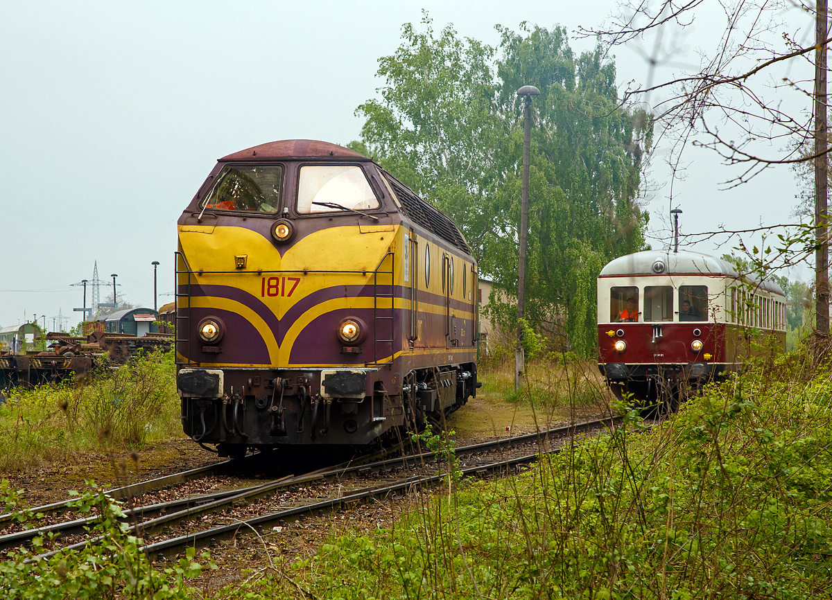 
Die ehemaligen CFL 1817 der Magdeburger Firma Power Rail GmbH (NVR-Nr. 92 82 0001 817-0 L-POWER) am 06.05.2017 beim Rangieren auf dem Familienfest der Magdeburger Eisenbahnfreunde im Wissenschaftshafen Magdeburg. Sie macht mit ihrem Zug das Gleis für den (rechts stehenden) Esslinger VT 95 80 0301 035-1 D-CLR(angeschrieben 95 80 0303 027-6 D-CLR ist falsch) der  Cargo Logistik Rail Service GmbH frei. 

Der Esslinger-Verbrennungstriebwagen wurde 1951 unter der Fabriknummer 23350 als T7 für die AKN gebaut. 