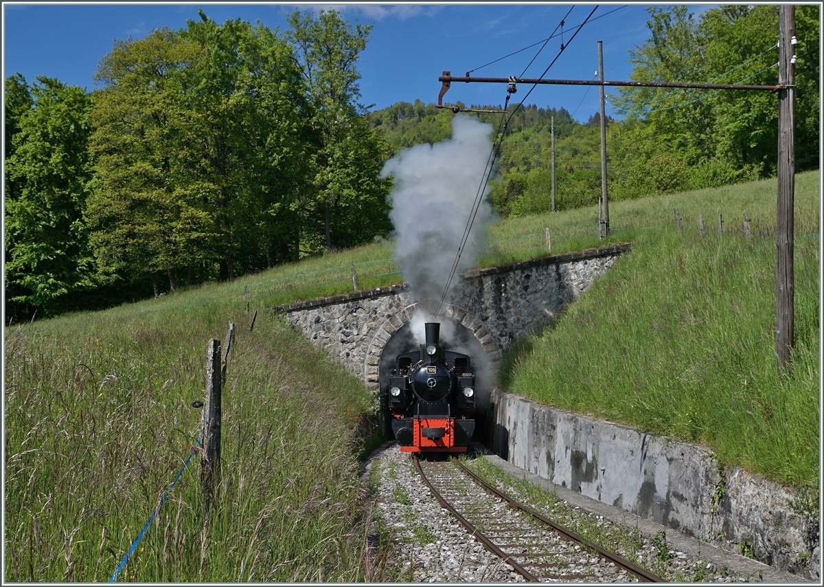 Die G 2x 2/2 105 der Blonay-Chamby Bahn hat die Baye de Clarens Schlucht und den kurzen Tunnel hinter sich gelassen und dampft nun Chamby entgegen. 

23. Mai 2021