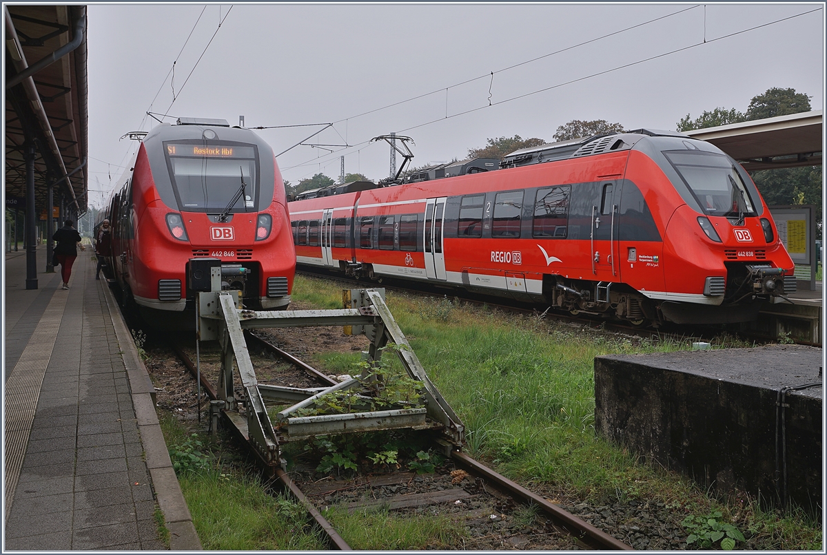 Die Hamster 442 338 und 442 346 in Warnemünde. Sie haben vor wenigen Jahren die DB E 143 mit Doppelstockwagen abgelöst und werden ihrerseits bald durch Doppelstocktriebzügen ersetzt. 27. Sept. 2017