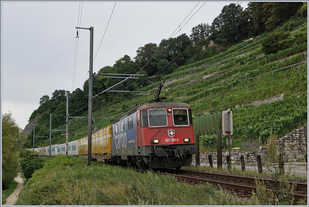 Die SBB Re 421 381-5 mit einem Postzug Richtung Biel kurz vor Twann.
31. Juli 2017