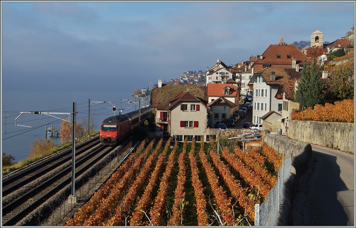 Die SBB Re 460 049-0 mit ihrem IR 1713 von Genève Aéroport nach Brig bei St-Saphorin. 
22. Nov. 2014