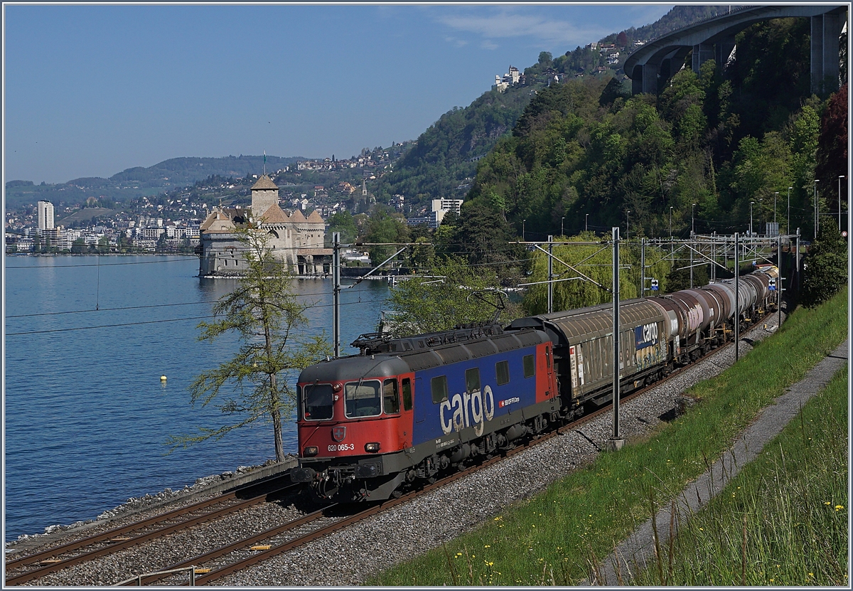 Die SBB Re 6/6 11665 (Re 620 065-3)  Ziegelbrücke  mit einem Güterzug kurz vor Villeneuve; im Hintergrund das Château de Chillon. 

16. April 2020