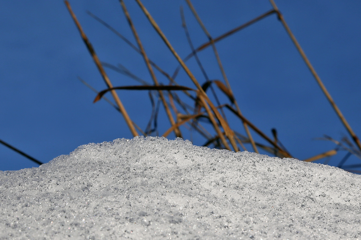 
Die Schneekristalle glänzen im Sonnenlicht.....
Bei Nisterberg am 05.01.2015
