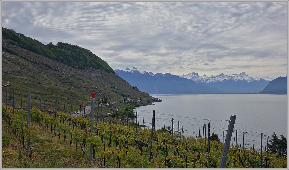Die Weinterassen des Lavaux und der Genfersee.
(08.05.2014)