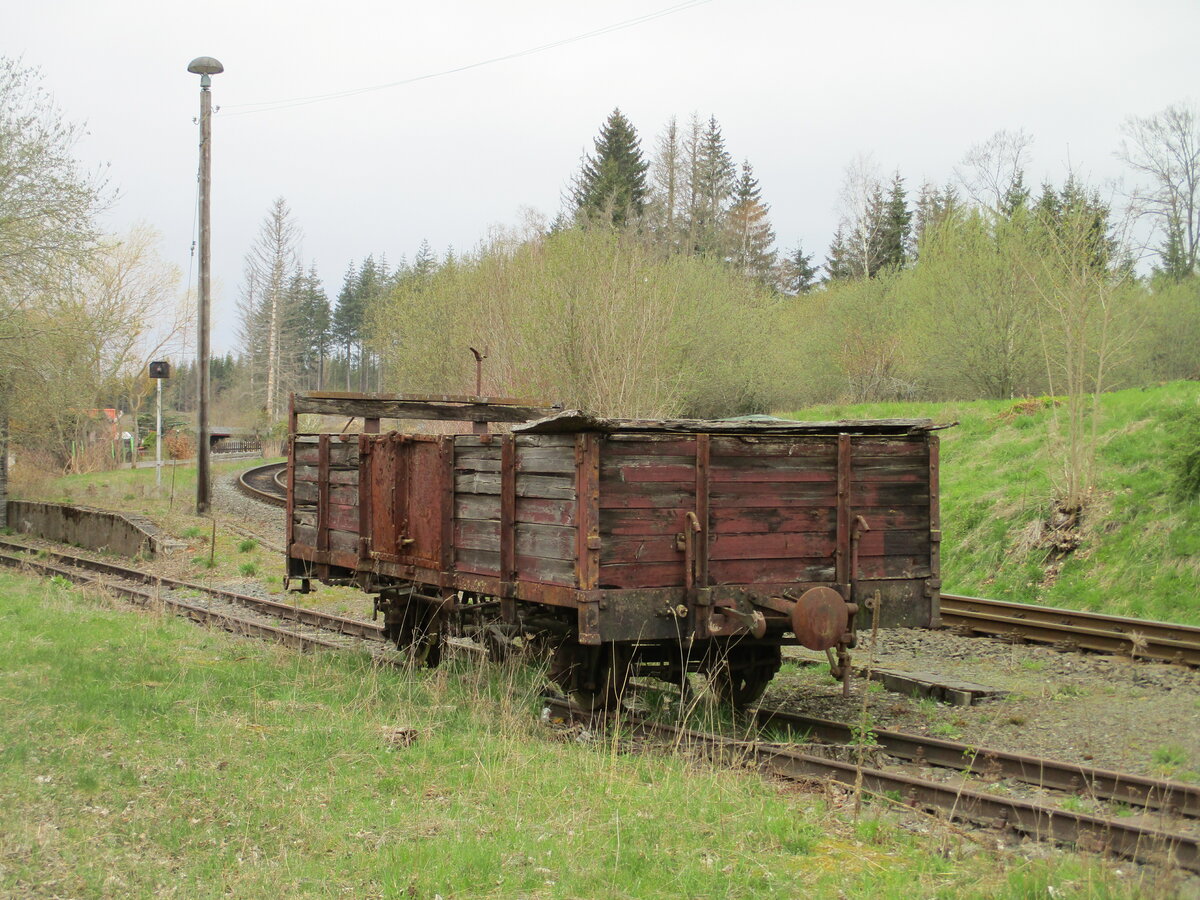 Ebenfalls,am 28.April 2023,in Benneckenstein aufgenommen ein nummerlose Ow.